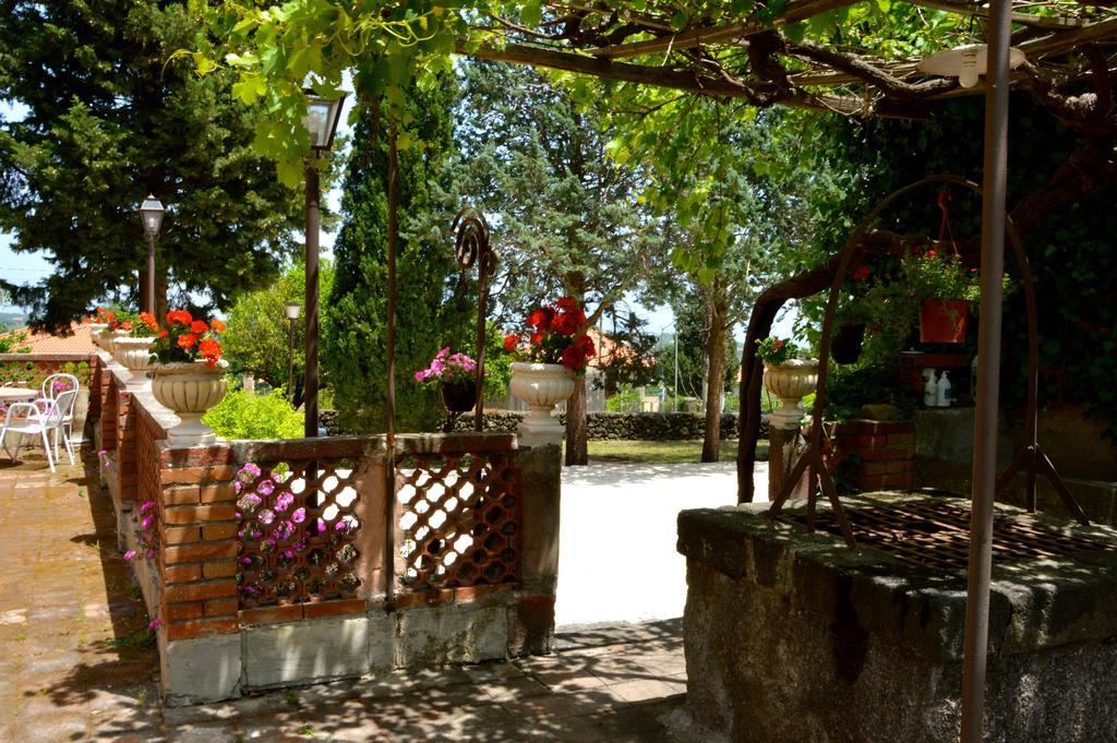 Villa Bonaccorso - Antica E Maestosa Villa Con Piscina Ai Piedi Dell'Etna Viagrande Εξωτερικό φωτογραφία