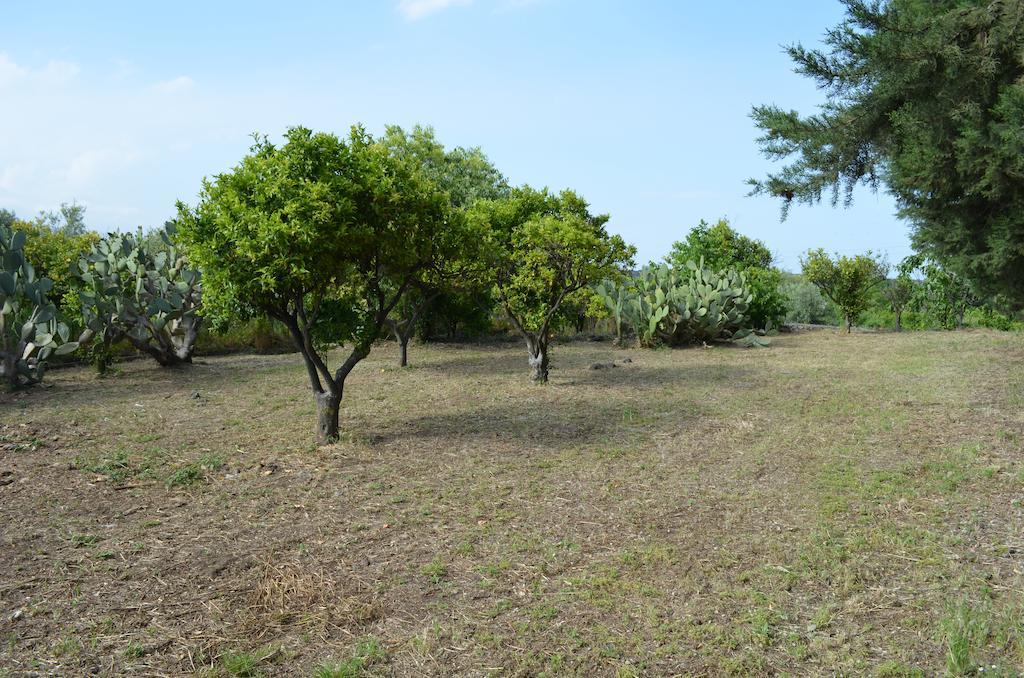 Villa Bonaccorso - Antica E Maestosa Villa Con Piscina Ai Piedi Dell'Etna Viagrande Εξωτερικό φωτογραφία