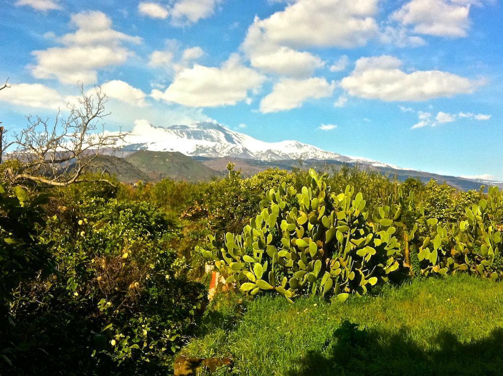 Villa Bonaccorso - Antica E Maestosa Villa Con Piscina Ai Piedi Dell'Etna Viagrande Εξωτερικό φωτογραφία