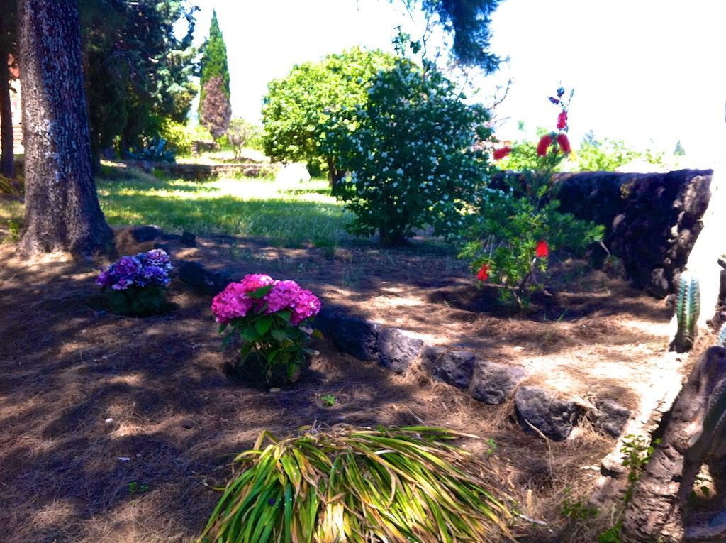 Villa Bonaccorso - Antica E Maestosa Villa Con Piscina Ai Piedi Dell'Etna Viagrande Εξωτερικό φωτογραφία