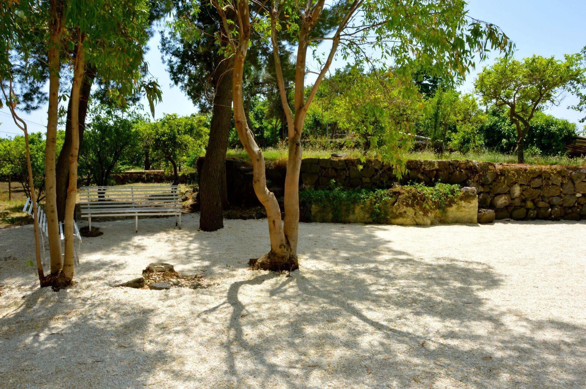 Villa Bonaccorso - Antica E Maestosa Villa Con Piscina Ai Piedi Dell'Etna Viagrande Εξωτερικό φωτογραφία